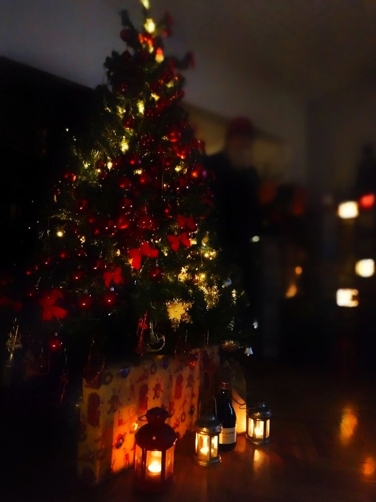 Фотография автора JELENA VASIC