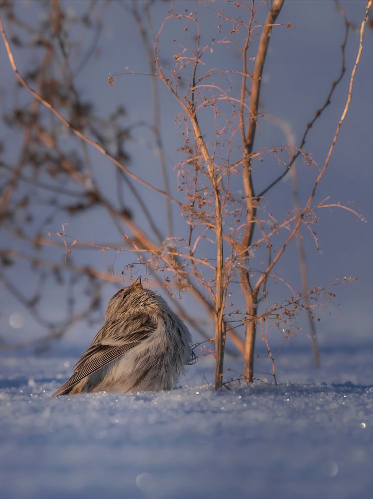 Photograph by Nephotograph