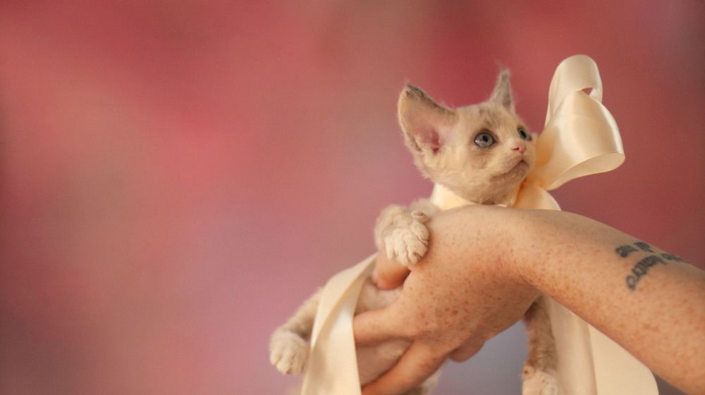 Photograph by Татьяна Федченко