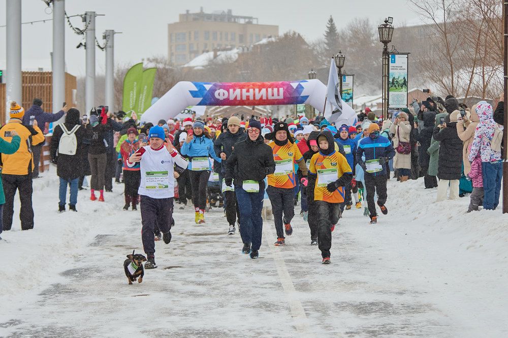 Photograph by Дмитрий Соколов