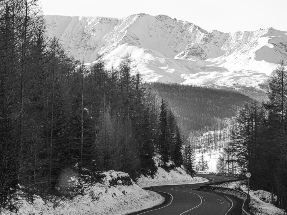 Photograph by Надежда Михайлина