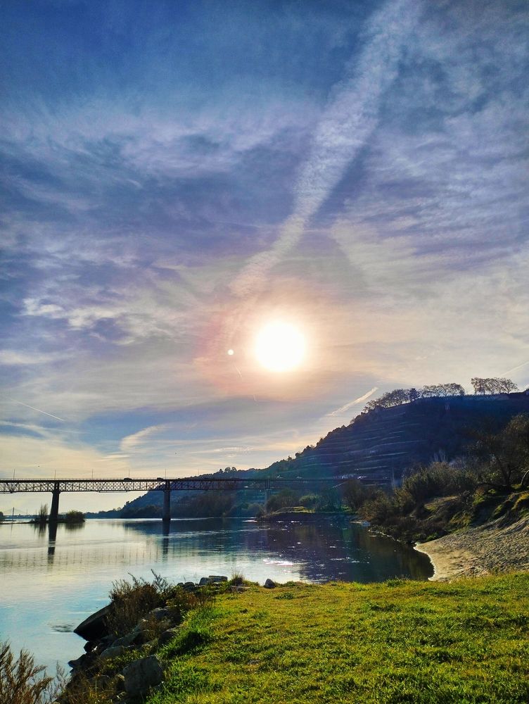 Photo #11583542
