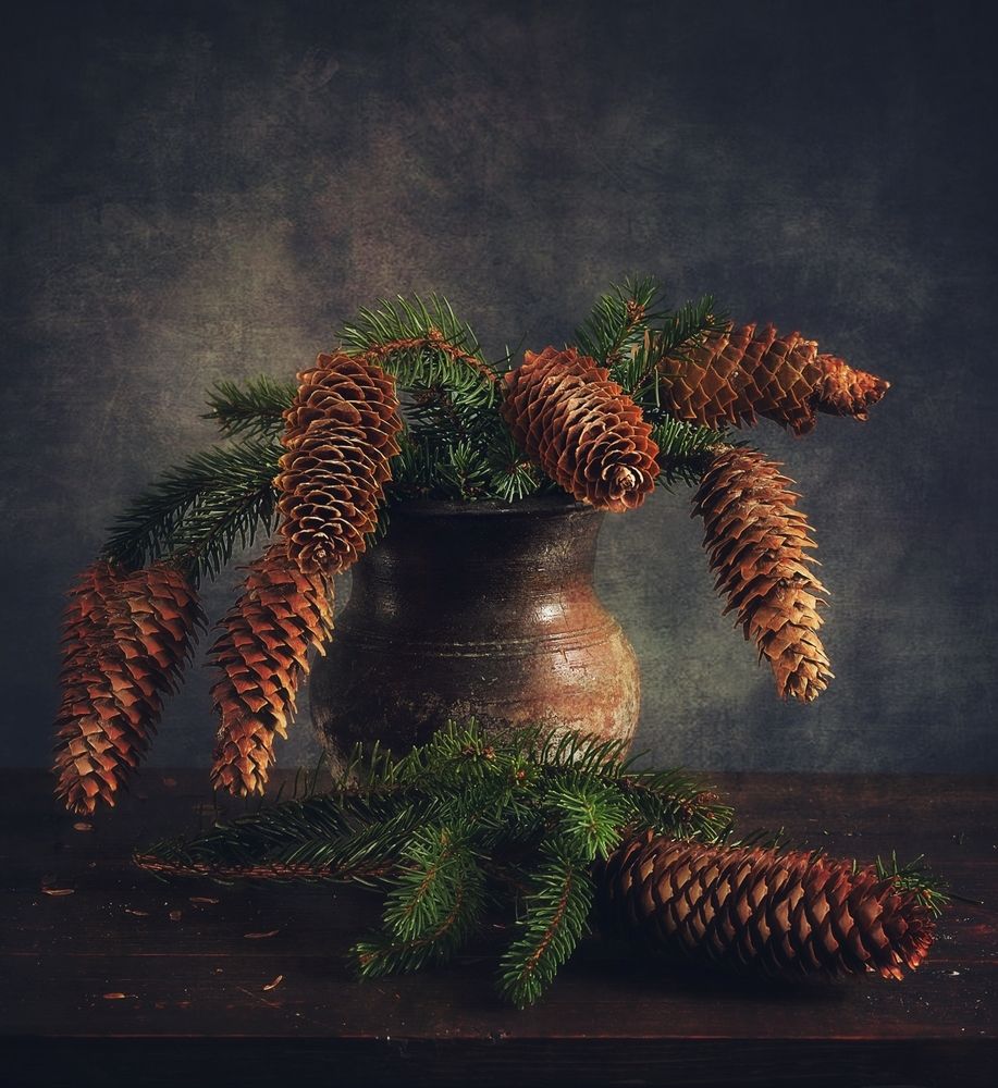 Photograph by Наталия К