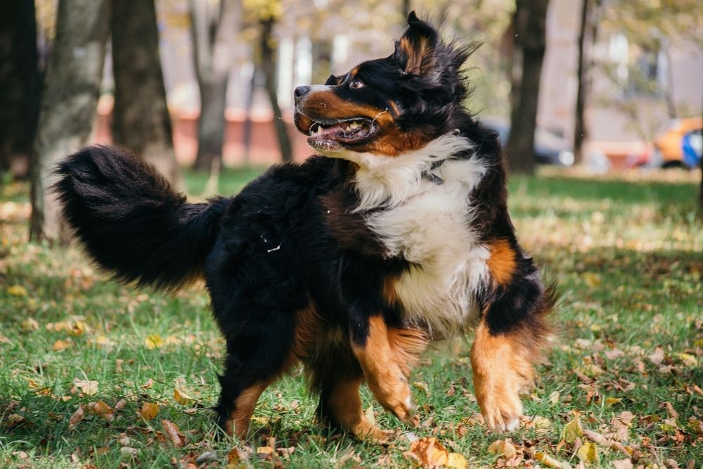 Photograph by Ольга Белова