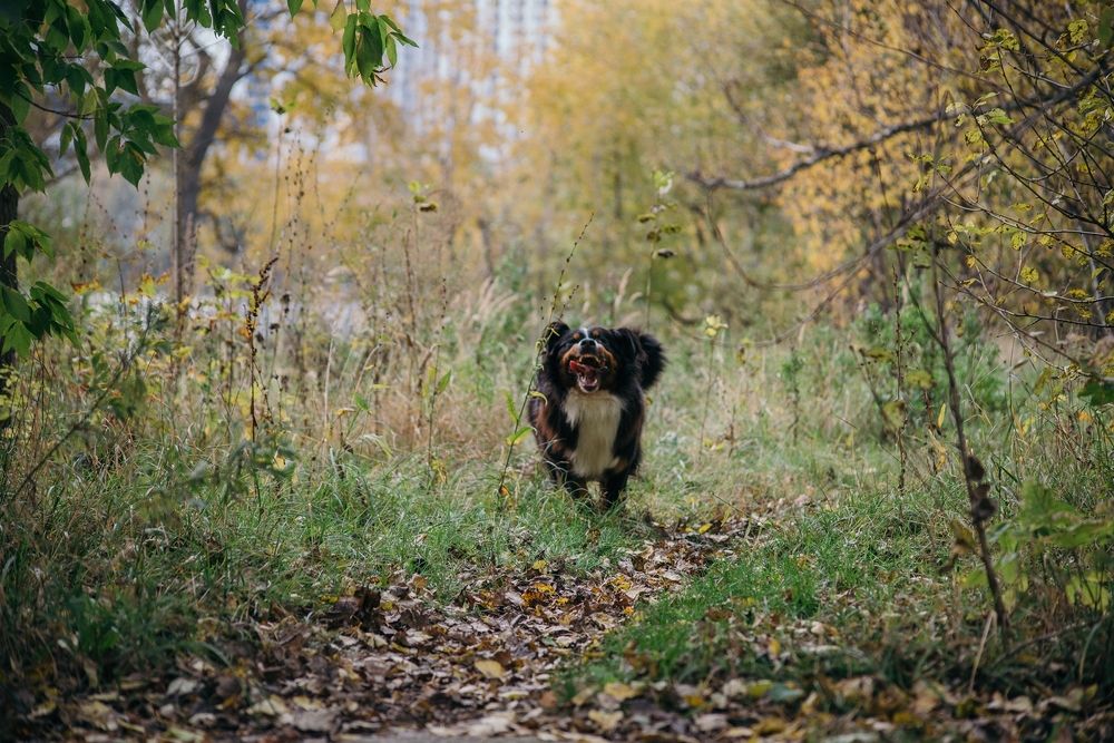 Photograph by Ольга Белова