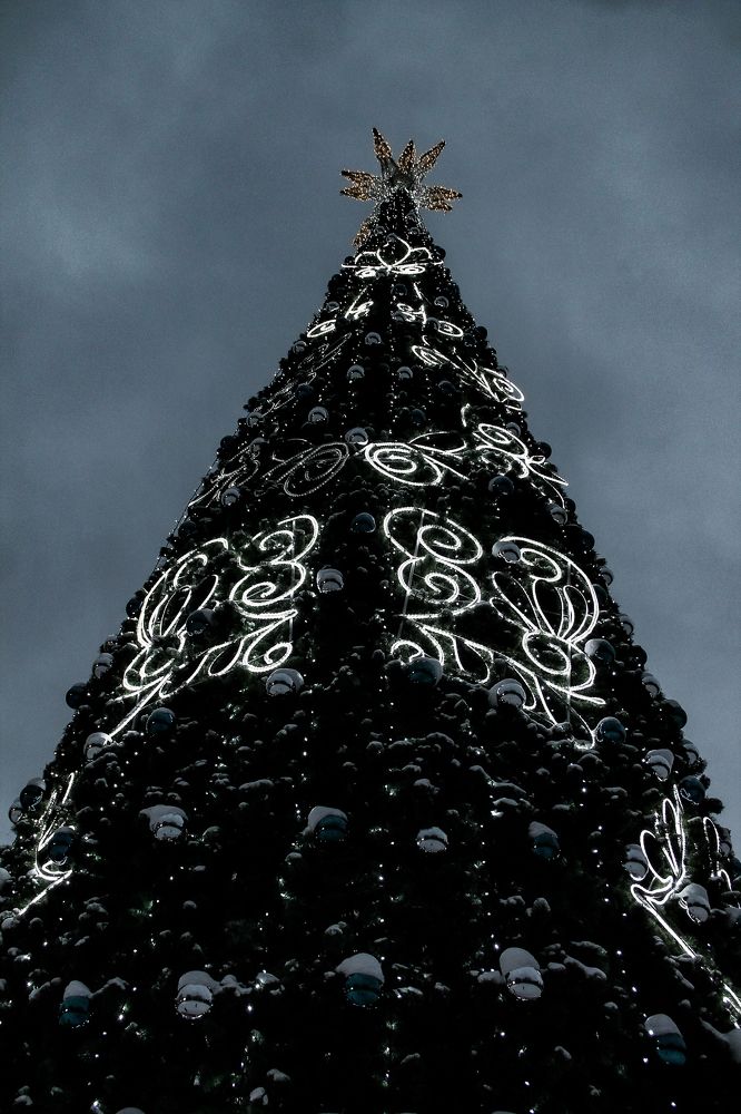 Photograph by Анастасия Псарёва