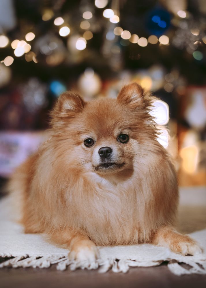 Фотография автора Валерия Капитонова