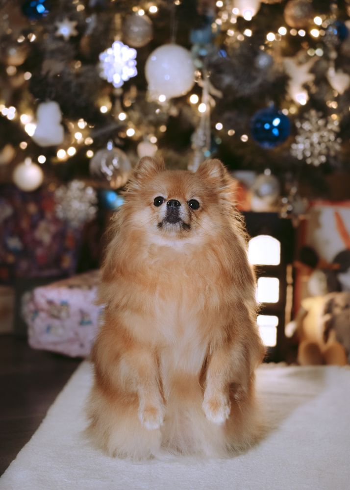 Фотография автора Валерия Капитонова