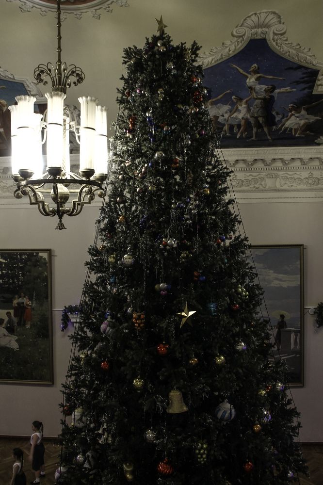 Photograph by Анастасия Псарёва