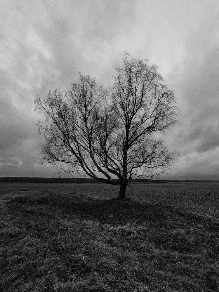 Photograph by Алина