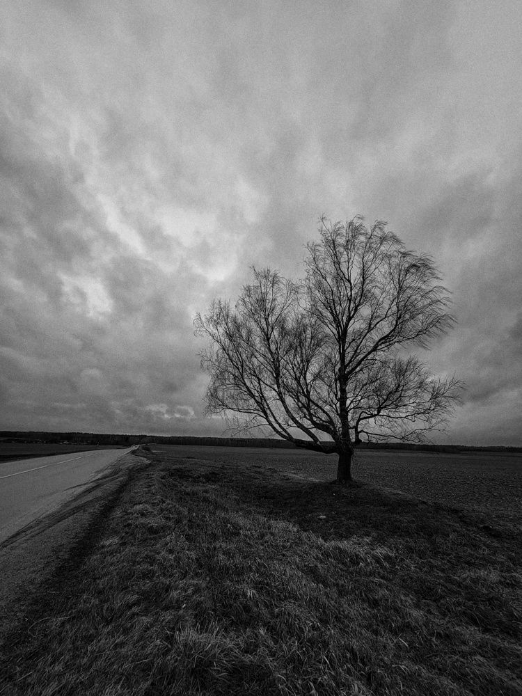 Photograph by Алина