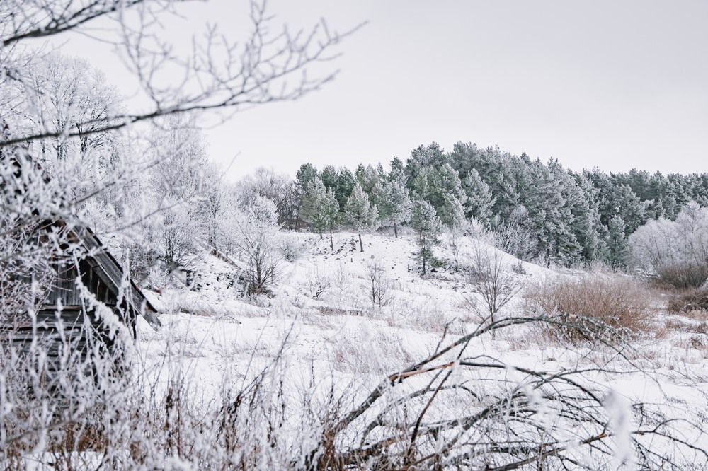 Photograph by Артем Афанасьев