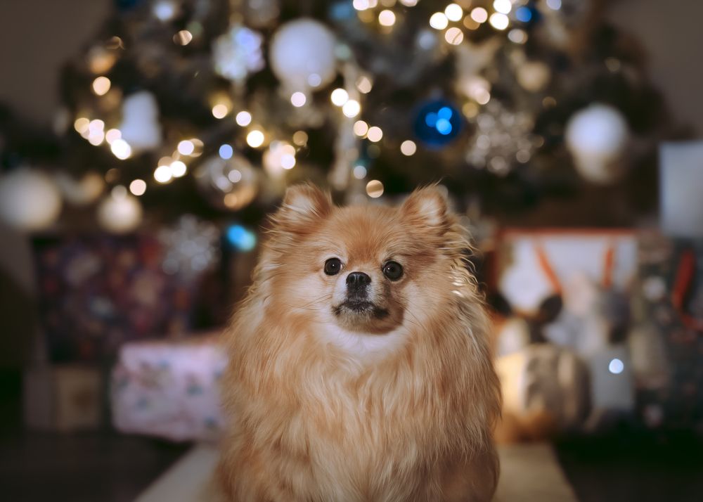 Фотография автора Валерия Капитонова