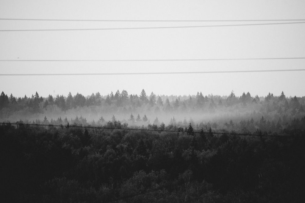 Photograph by Ольга Белова