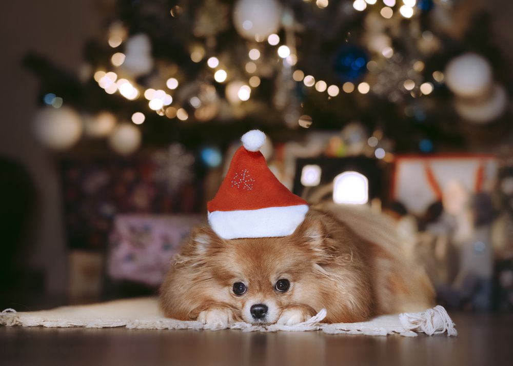 Фотография автора Валерия Капитонова