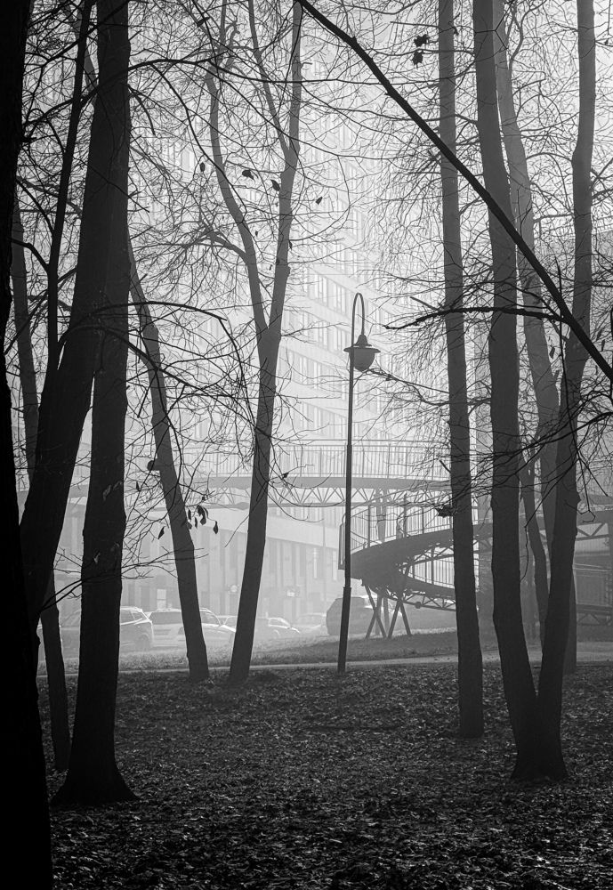 Photograph by Аверьянова Наталья