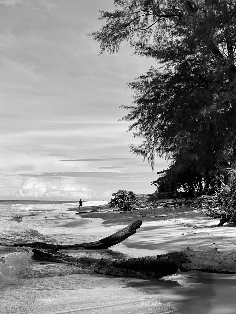 Photograph by Ирина Сорока