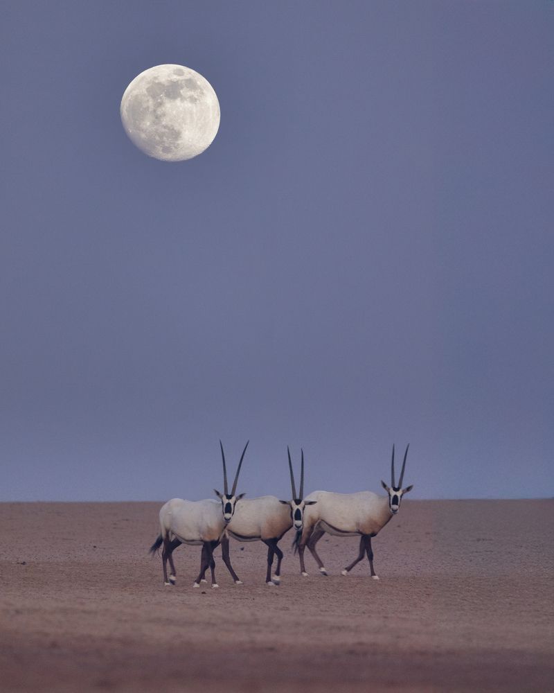 Photograph by Rémi Vacher
