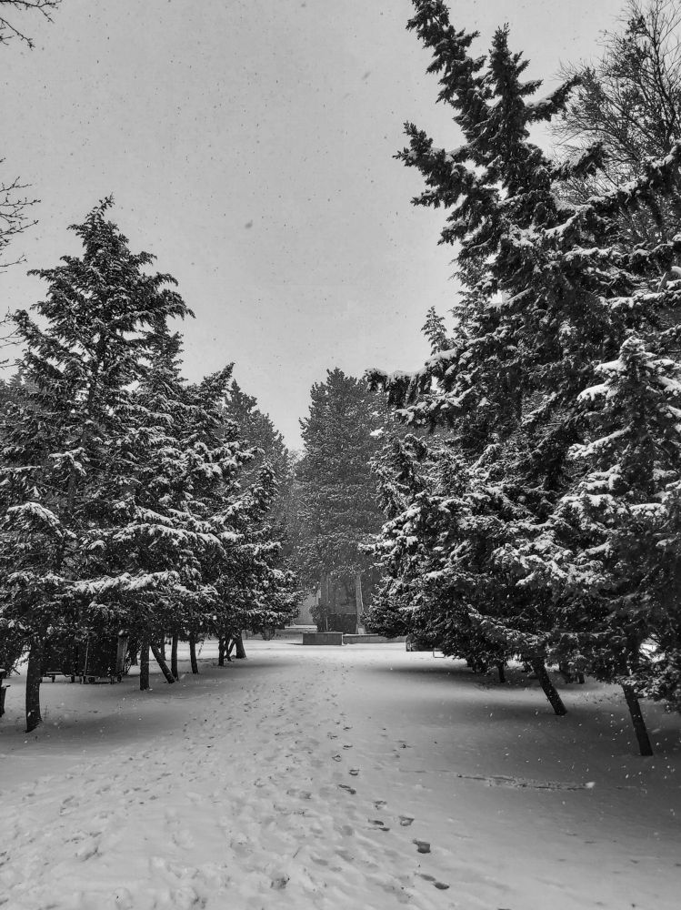 Зимний день