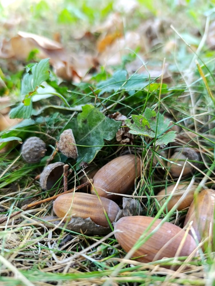 Фотография автора Андрей