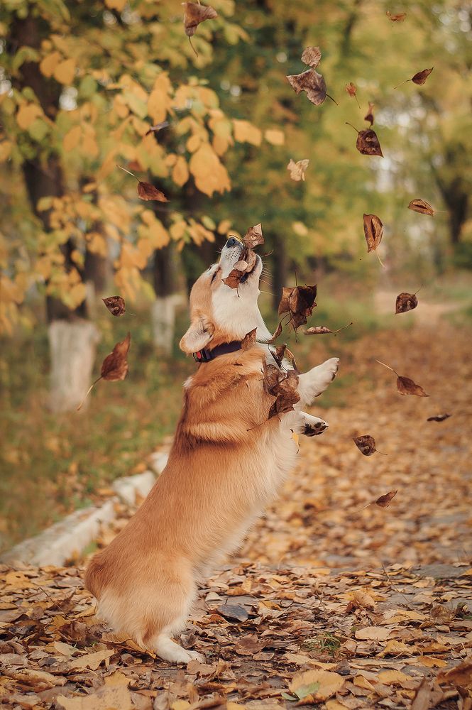 Фотография автора Anastasia Struna