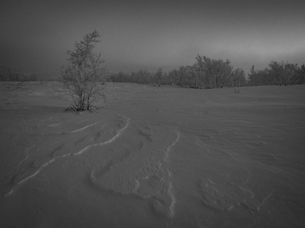 Photograph by Шейко Анна