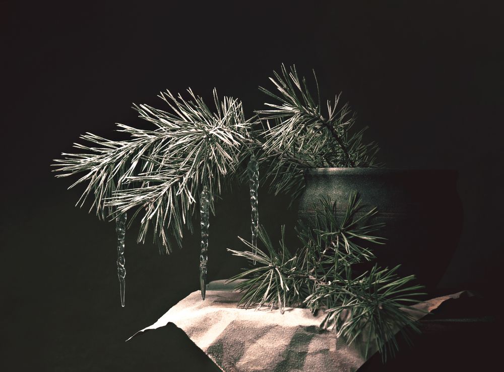 Photograph by Александра