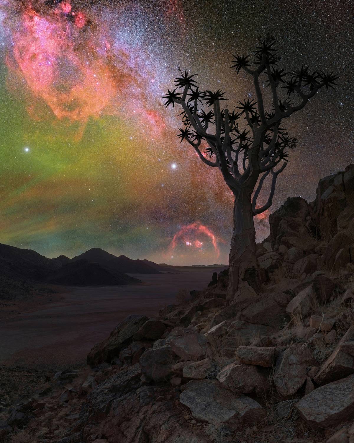 Quiver Tree Hills, Kanaan Retreat, May 2024, Namibia