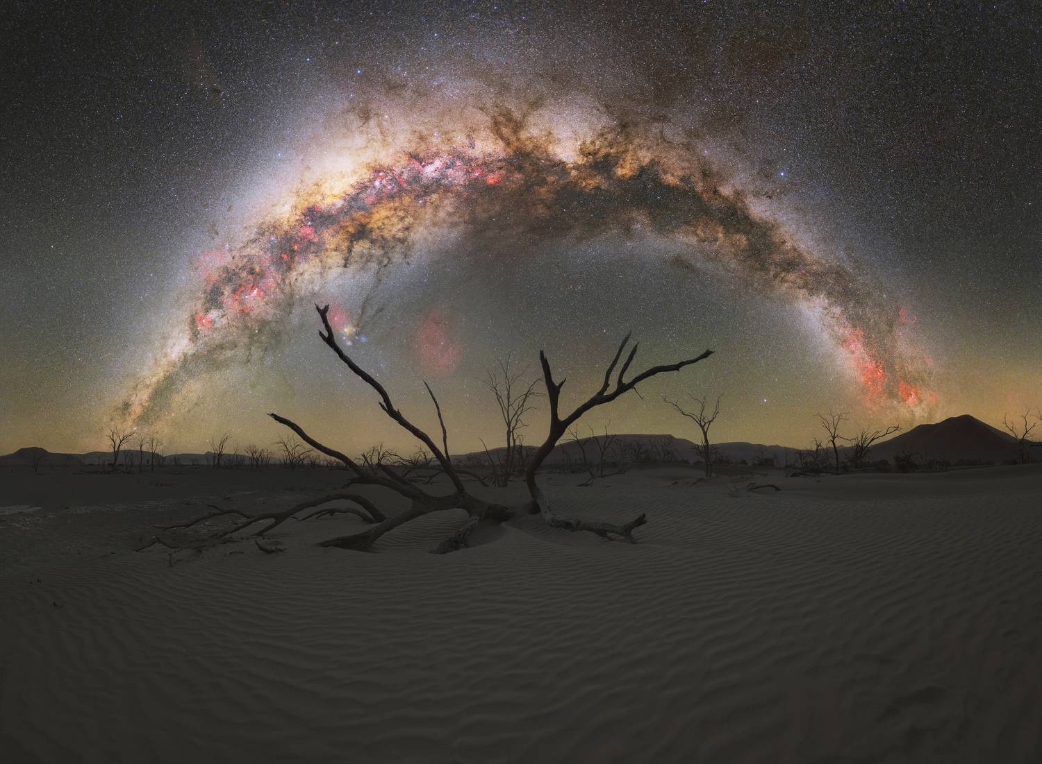 Dead Forest of Sossusvlei, May 2024, Namibia