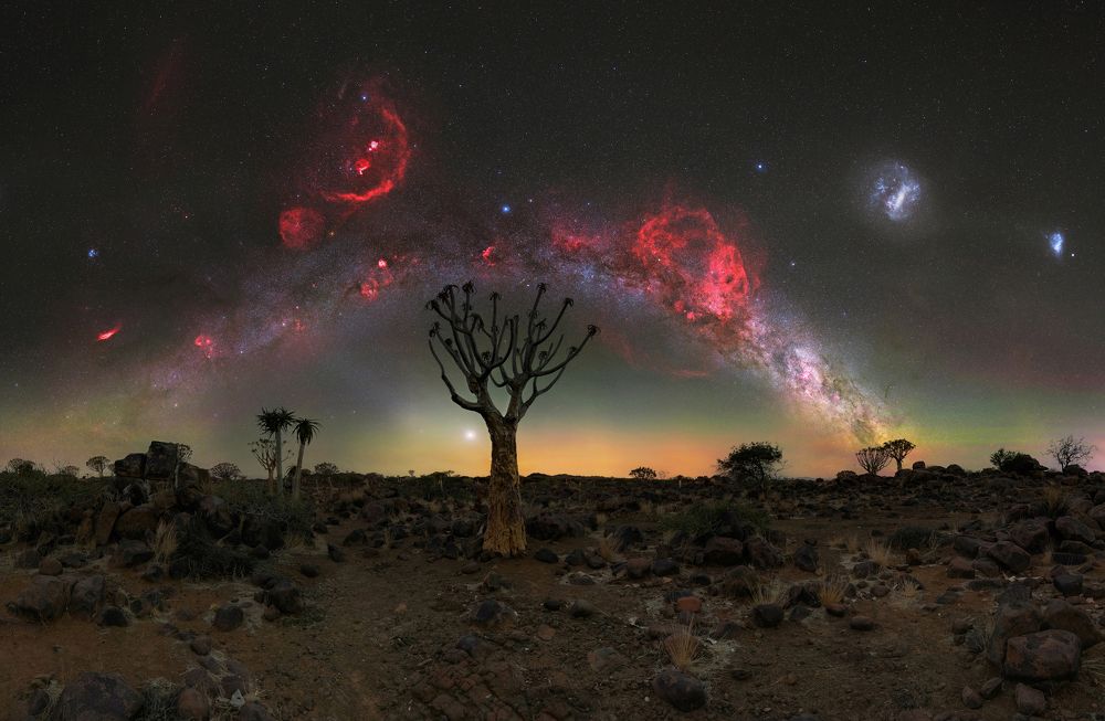Lonely tree under the red flame of Orion, September 2023, Rooisand Desert Ranch, Namibia