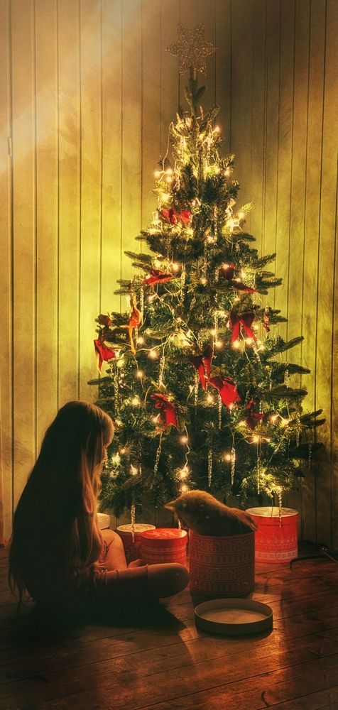 Photograph by Екатерина Колот