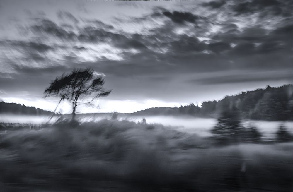 Пейзаж за окном