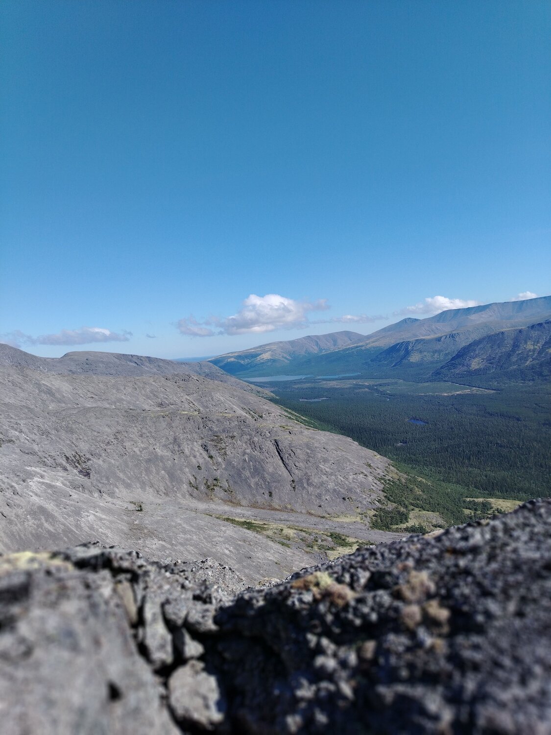 Photo #11583836