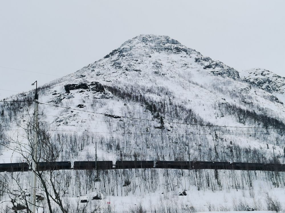 Дальняя дорога