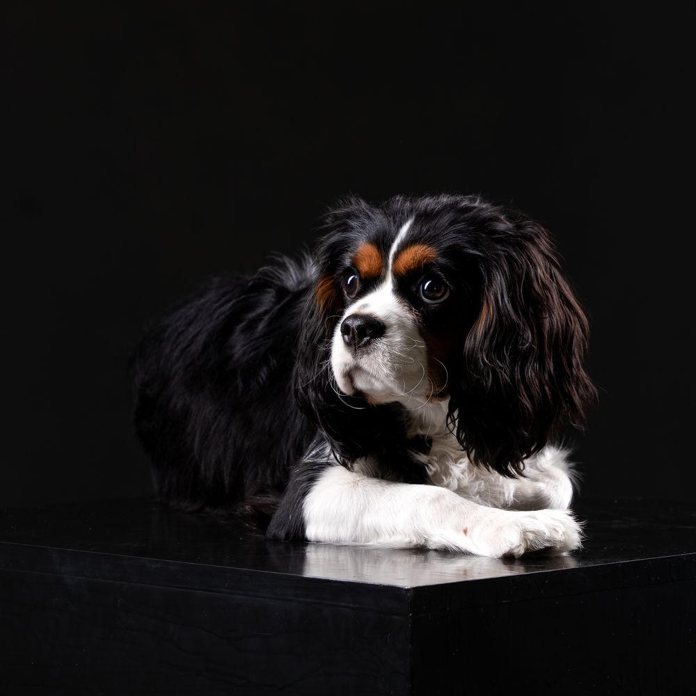 Фотография автора Лилия Наконечная