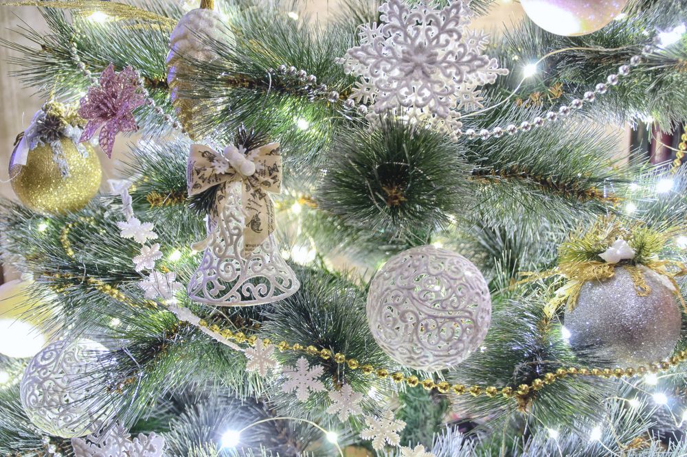 Фотография автора Юлия Кранина