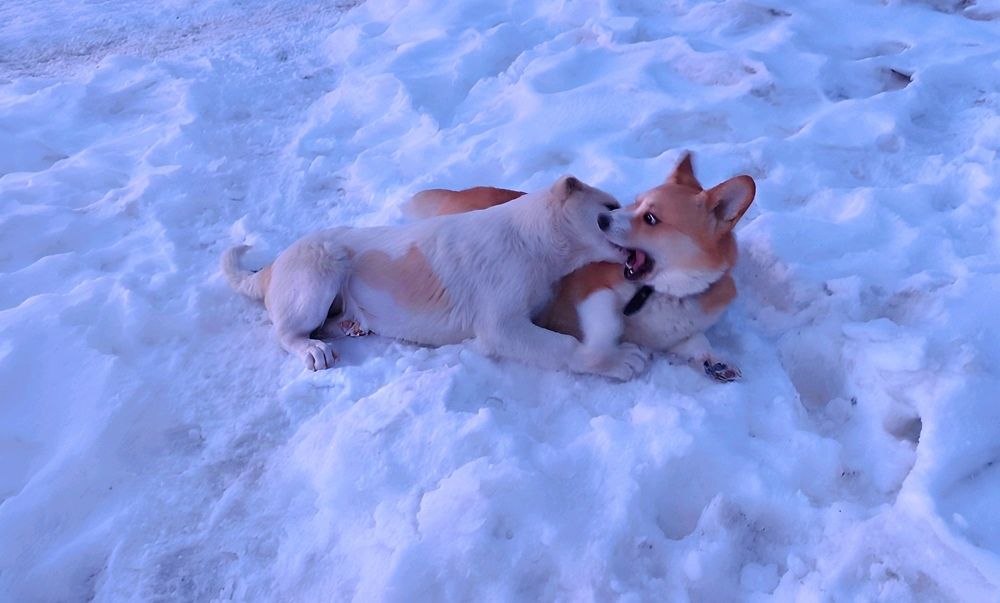 Photograph by Юлия Холомцева