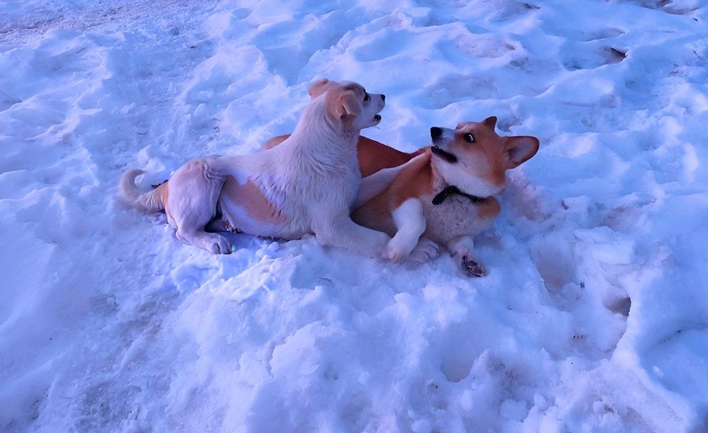 Photograph by Юлия Холомцева