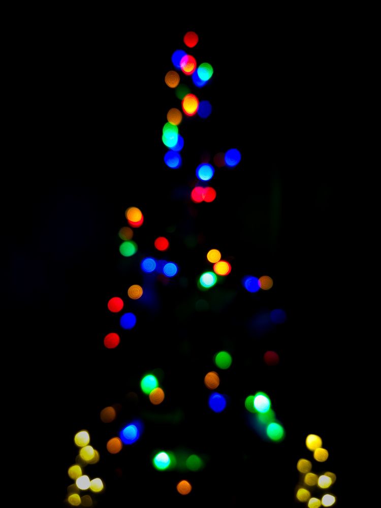 Фотография автора Ольга Шишук