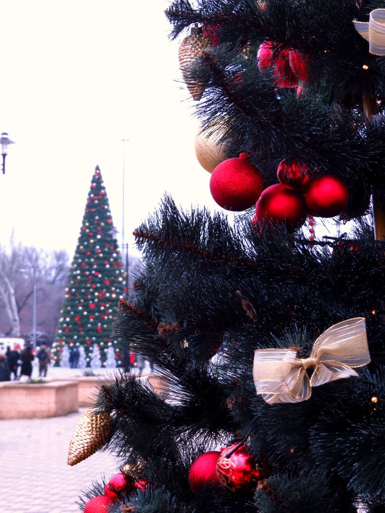 Photograph by Татьяна Стаскевич