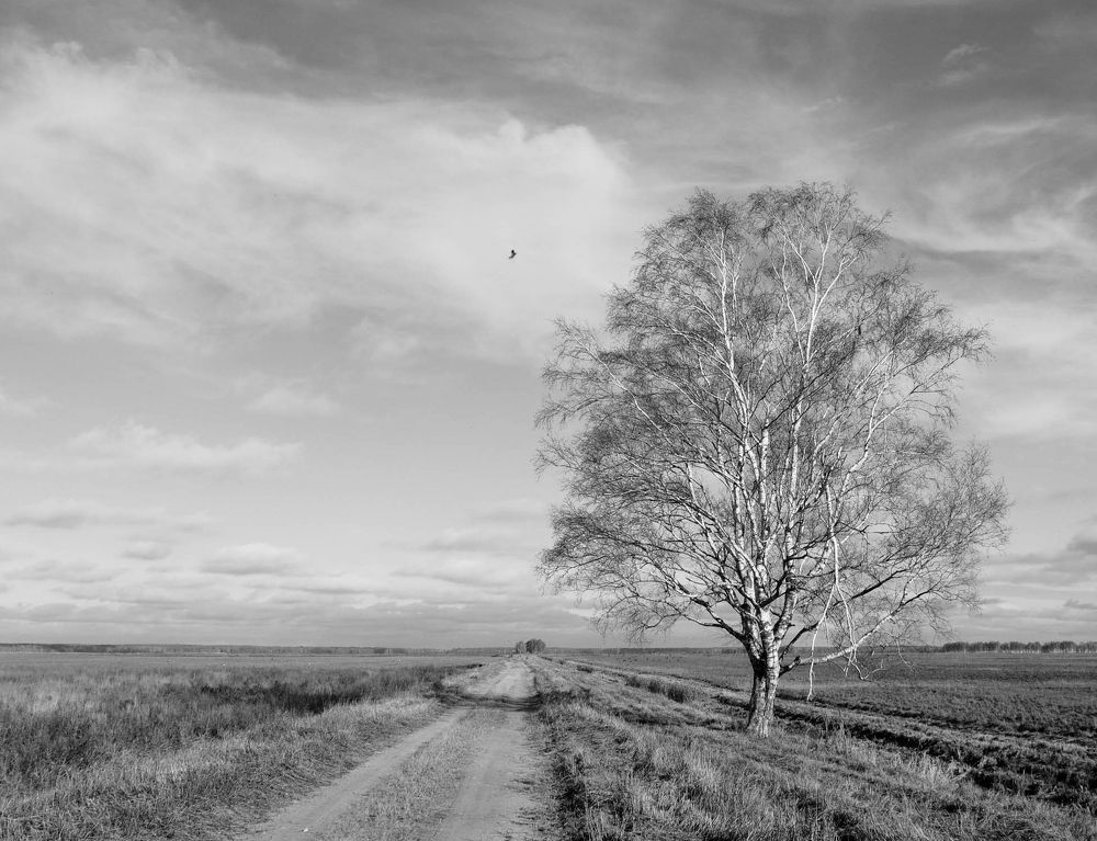 Фотография автора Александр Буренко
