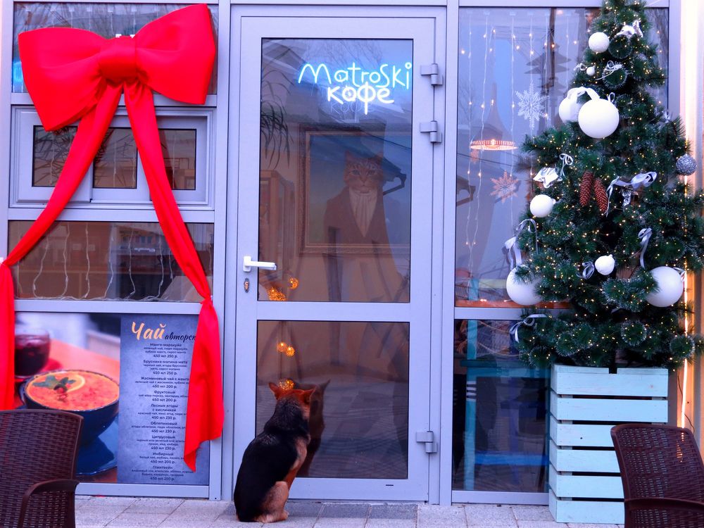 Photograph by Татьяна Стаскевич