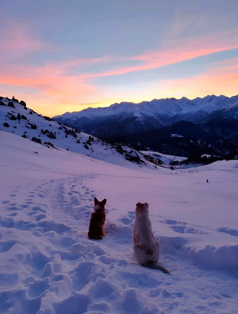 Photograph by Юлия Холомцева