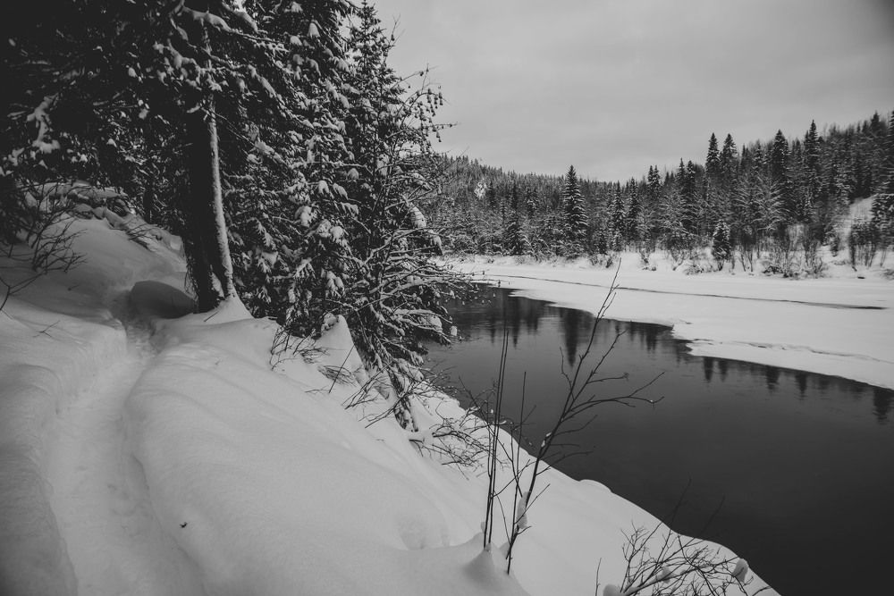 Фотография автора Злобин Сергей