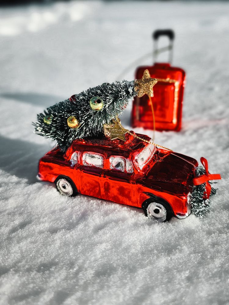 Фотография автора Ольга Шишук