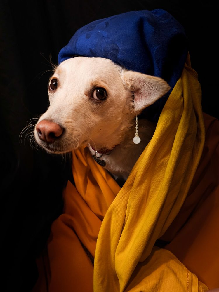 Photograph by Ольга Шишук