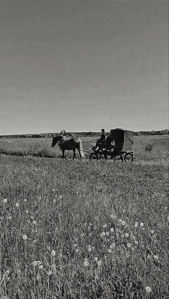 Photograph by Елена Бородулина