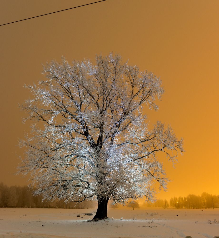 Photograph by Вячеслав