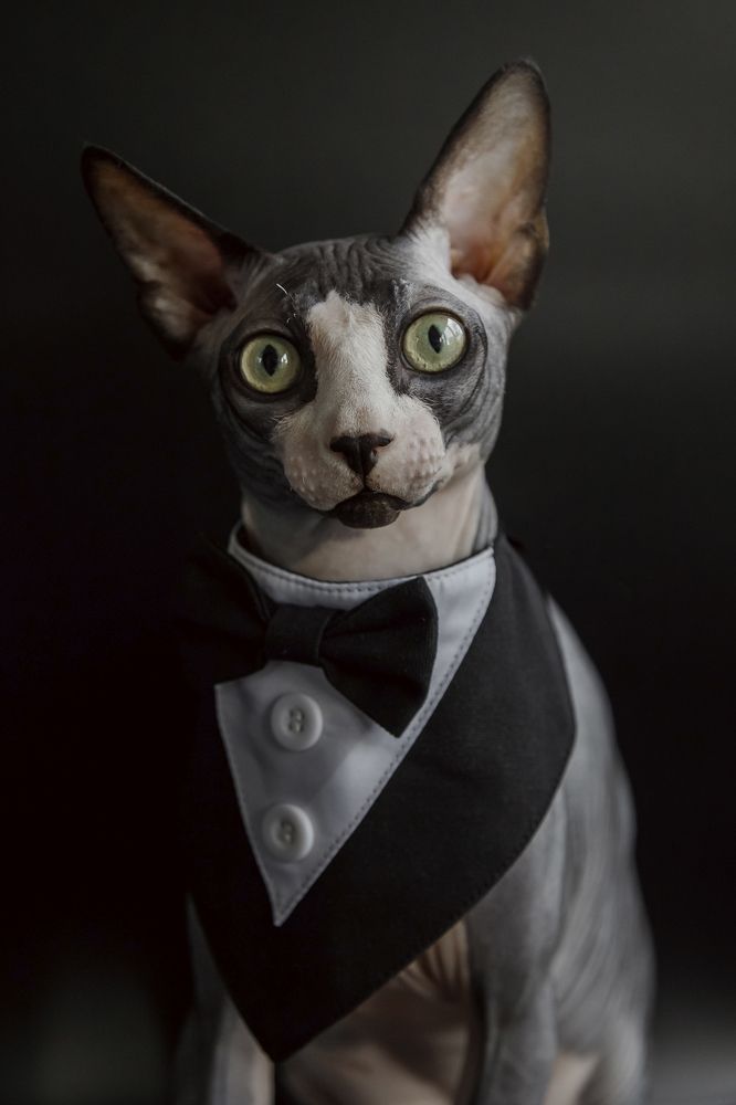 Photograph by Ольга Осинина