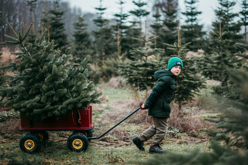 Photograph by Sandra Tines